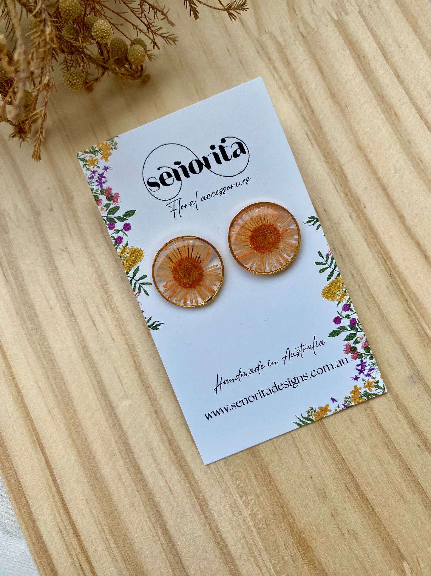 Chrysanthemum studs